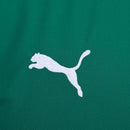 CAMISA DO PALMEIRAS 26/27 VERDE